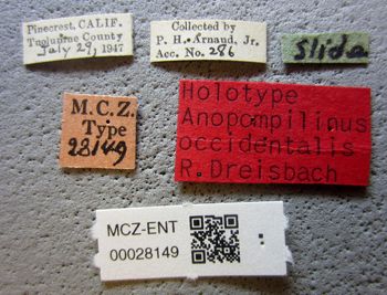 Media type: image;   Entomology 28149 Aspect: labels